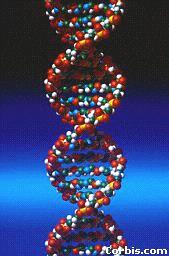 A DNS-ben talált kód része lehet-e az