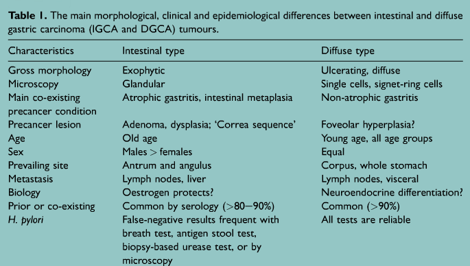 Gastric Cancer Staging Systems Defines 2 distinct histological entities different clinically and epidemiologically Clinical