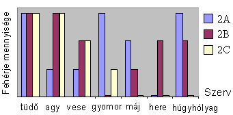 agyban, a szívben, a vékony- és vastagbélben, a vesében, a májban és a tüdőben. Az agyban főként a pons és a corpus callosum bővelkedik benne, ezeken belül is inkább a gliasejtek, mint a sejttestek.