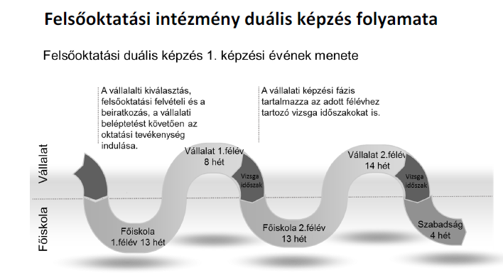 A felsőfokú duális