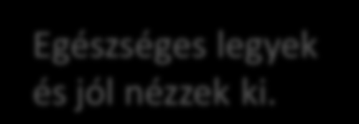 Küldetés A szervezet létezésének indoka, az cél, amit az alapítók a szervezet elé tűztek. Tervezési szintek jellemzői Egészséges legyek és jól nézzek ki.