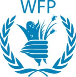 WFP UNHRD UN Humanitarian Response Depot Logisztikai központ, költséghatékonyabb végrehajtás 2000: Brindisi, olasz kormány hozzájárulásából Ma 6 közp.