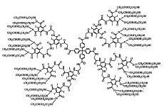 Nanotubes 2 x 2000 Micelles 8-30 Liposomes 50-10000 Polymer nanocapsules