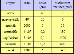 A gázok, folyadékok mozgásának egyszerőbb esete, amikor a folyamat idıben állandó, azaz egy adott helyen nem változnak a folyamatot jellemzı fizikai mennyiségek az idı múlásával.