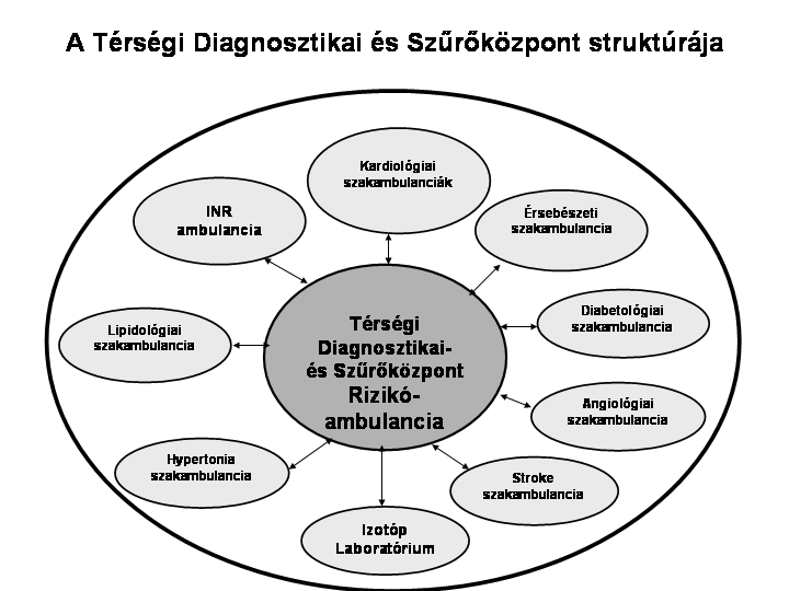 Acta Medicina et Sociologica - Vol 2., 2011. 27 8. ábra. A Térségi Diagnosztikai és Szűrőközpont struktúrája vaszkuláris rizikójú betegek ellátása.