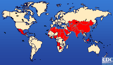HEPATITIS E