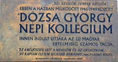 1948 végén megerősödtek a NÉKOSZ-t érő kritikák, a Magyar Dlgzók Pártja egyre élesebben támadta a szervezetet.