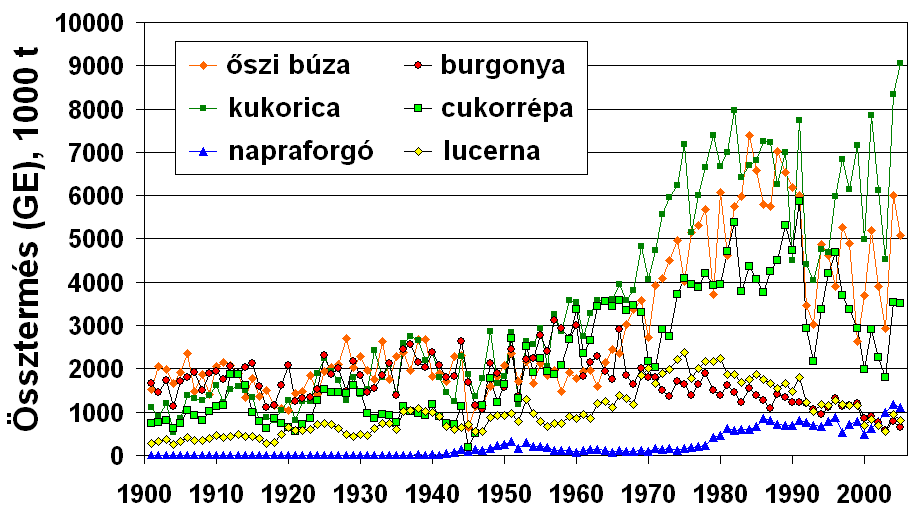 Főbb szántóföldi növények