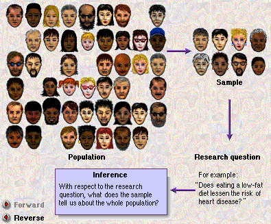 Section 1: Statisztika: Bevezetés, alapfogalmak 13 Következtetés: a