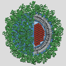 Állandó sebességű (nulladrendű) hatóanyagleadás Hatóanyagleadás (%) Idő (óra) Nanomedicina: citosztatikum célzott hatóanyag-szállítása Nanomedicina: