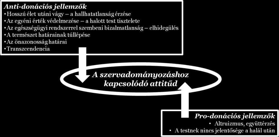 segítő személy jelenléte szükséges (97). Ez utóbbi tényező rámutathat arra, miért ellentmondásos az agyhalál megállapításon történő részvétel hosszú távú hatásának megítélése. 2.4.