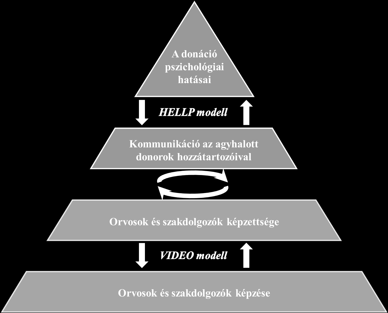 14. ábra A Piramis intervenció 6.1 A Szervátültetés 2006 felmérés megbeszélése Felmérésünkben 29 hozzátartozó vett részt 20 családból.