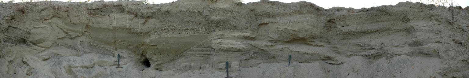 1 m 1 m É D 1 m Pleisztocén folyóvízi kavics-homok sorozat a Vértes nyugati