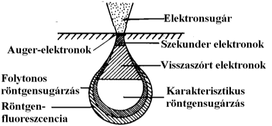 elektromágnesekből álló lencserendszer fókuszál egy tűhegyű nyalábbá. Ezt a nyalábot irányítják a minta felé.