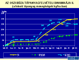 BÚZATERMESZTÉS többi tápelem túladagolása sem okoz általában specifikus, látható tüneteket (ellentétben a N-nel), hanem rendszerint más elemek felvehetőségét rontja.