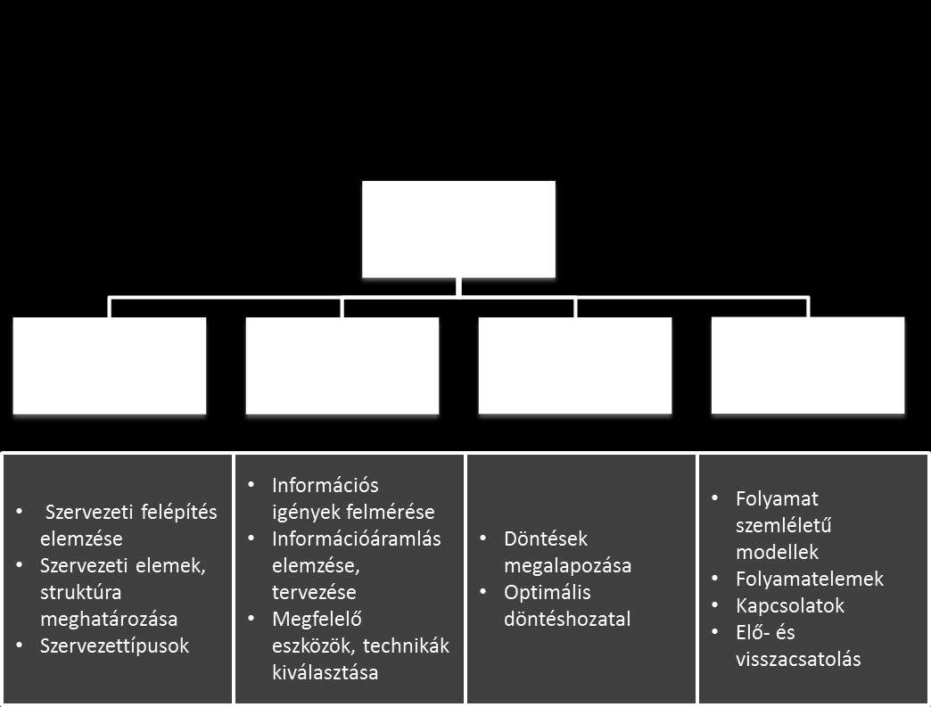 15. ábra - Szervezeti modell (Forrás Hanyecz, saját szerkesztés) c) A fekete doboz (Black Box) módszer olyan eljárás, amely a rendszer belső működését figyelmen kívül hagyja (fekete doboznak tekinti)