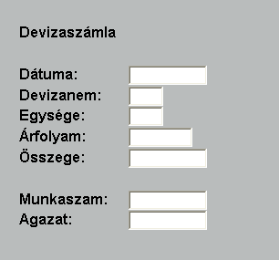 Figyelem: A program biztosít egy különleges lehetőséget a kezelő számára: Tetszőleges számú megjegyzést helyezhet el a számlán.