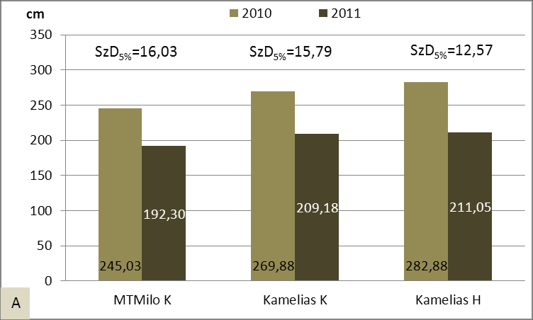kukorica állományban a gyomnövények száraz hajtástömege 65,4 %-kal, a Kamelias K esetében 54,7 %-kal, a hagyományos vetésidejű Kamelias hibridnél pedig 35,6 %-kal volt kevesebb, mint a 2010-es évben.