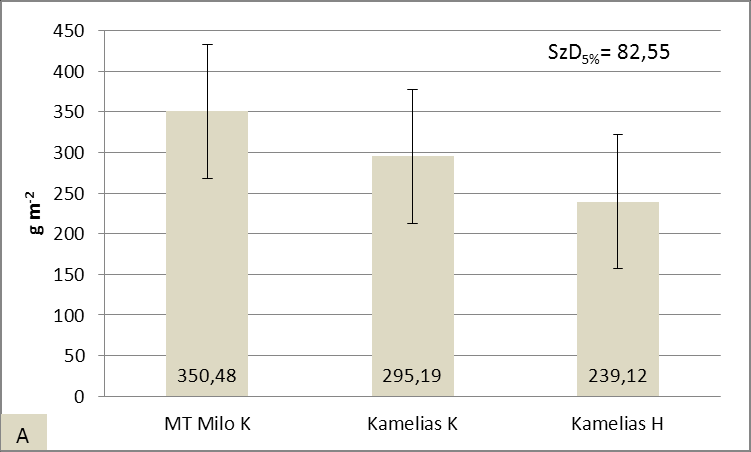 A gyomokkal együtt versengő kukorica hibridek közül a legnagyobb száraz hajtástömege a Kamelias H hibridnek volt (10,27 g m -2 ), amely szignifikánsan nagyobb, mint a korai vetésidejű hibrideké (28B.