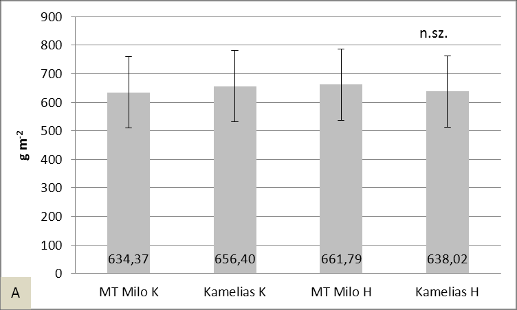 hajtástömegénél a Kamelias K kukoricában lévő gyomok száraz hajtástömege 22,4 %-kal, az MT Milo H esetében 77,2 %-kal, a Kamelias H vonatkozásában pedig 69,2 %-kal volt kevesebb.