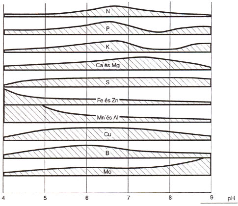 indokolt a gyors beavatkozás (1. ábra). Az állomány látens tápelem hiányának feltárására azonban vizuális tünetek hiányában laboratóriumi vizsgálatok elvégzése szükséges. 1.