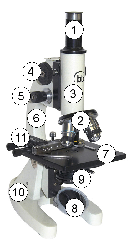 A mikroszkóp részei (1-2. ábra) Student-2 Student-6 1-2. ábra 1. Okulár 2. Revolverfejbe szerelt objektívek 3. Tubus 4. Durva élességállító (fókuszáló) gomb 5. Finom élességállító (fókuszáló) gomb 6.
