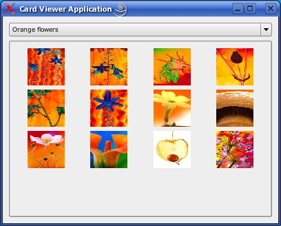 new MainForm; mainform >setwindowtitle("card Viewer Application"); mainform >show();