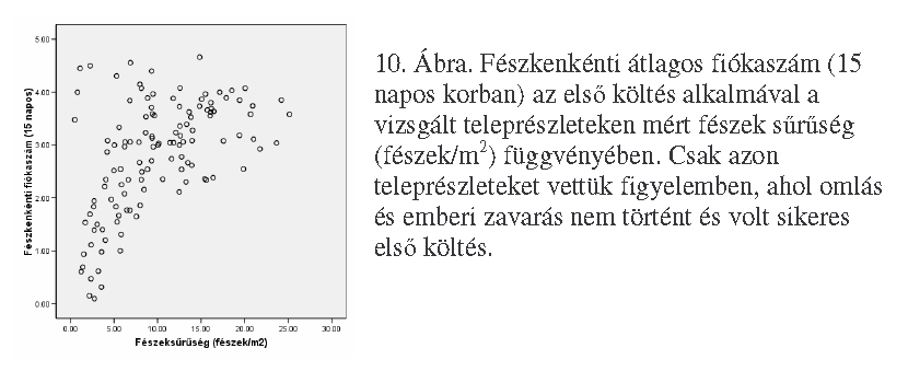 Nagyobb fészkelési siker a sűrűbb telepeken (Allé