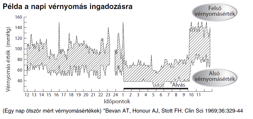 A vérnyomás állandóan változik A vérnyomás értéke függ a kortól, nemtől, és más egyéb tényezőktől.