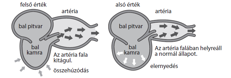 A KIJELZŐ ÜZENETEI Kijelzőn megjelenő üzenet Állapot/Ok A alacsony elem jelzés ikon akkor jelenik meg a kijelzőn, ha az elem lemerülőben van, vagy az elemek polaritása nem megfelelő.