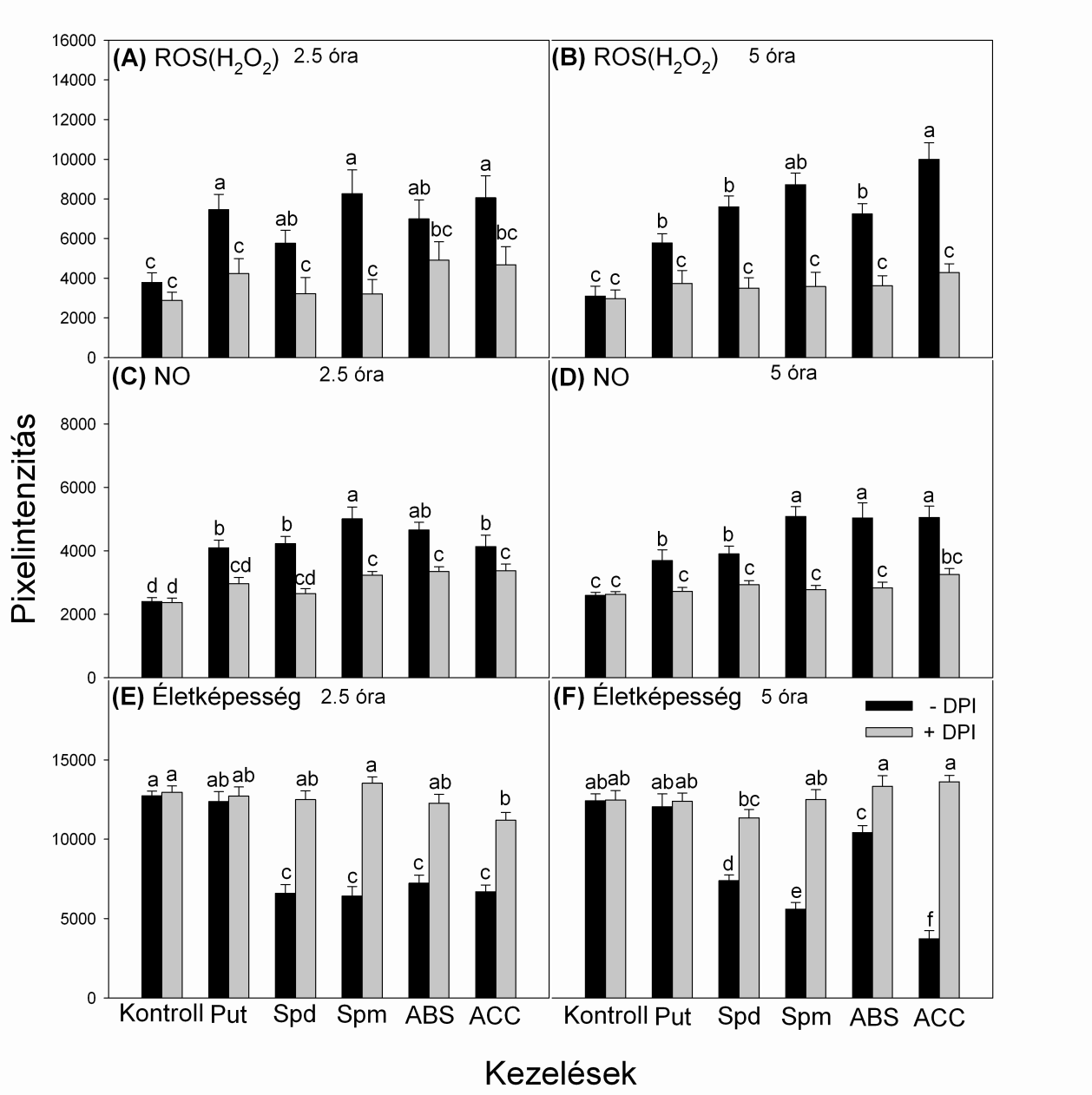 56. ábra: Különböző növekedésszabályozó anyagok, valamint a NADPH oxidáz gátlásának hatása paradicsom mezofillum protoplasztok ROS és NO tartalmára, valamint az életképességre 2.