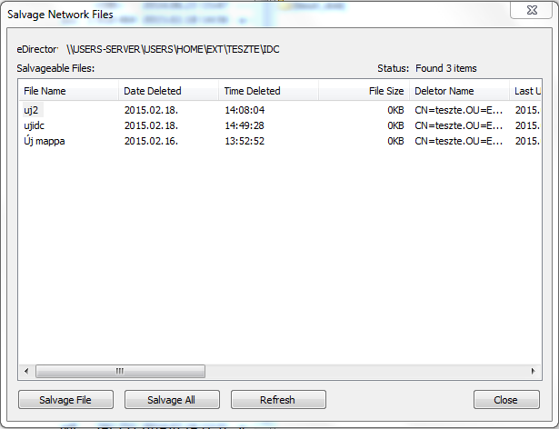 - 17 - Törölt fájl visszaállítása (Salvage Files) A Novell hálózatról törölt fájlok, könyvtárak nem a Windows Lomtárba kerülnek, hanem a Novell kezeli őket, így az esetleges visszaállításuk sem