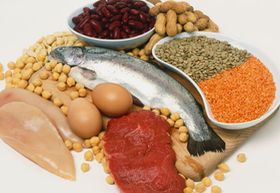 A táplálék fontos alkotórészei Fehérjék: Alapvető építőanyagok Enzimek, immunanyagok, hormonok, szállítómolekulák Szükség esetén energiaforrás Esszenciális aminosavak forrása Étkezési rostok: Nem