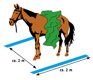 7.11. Ponyva átdobása a ló hátán A lovat egy 2 m hosszú, 2 m széles közbe állítjuk, amely mellett a földön hever egy összegyűrt ponyva.