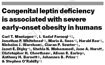 LEPTIN MUTÁCIÓK LEPTIN: CSÖKKENTI AZ ÉTVÁGYAT & GYORSÍTJA A ZSÍR METABOLIZMUST 7q31 cebpa 5 1 2 * 3 3 10kb 1.