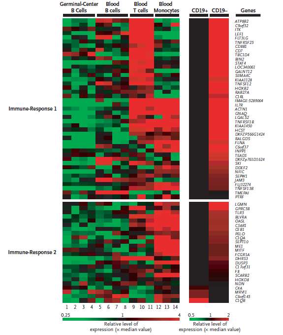 ITK, LEF1 és STAT4) és macrophágokra jellemző gének (ACTN1 és TNFSF13B) overexpressziója volt jellemző.