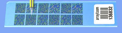 Confirmation DNA and protein microarray results DNA microarray Norm.Fluoro. 10-0.5 10-1 10-1.5 cyt C cyt F farnesyl F farnesyl C 10-2 10-2.