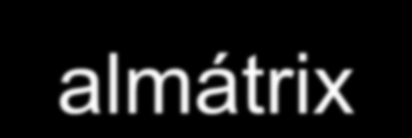 48 almátrix 64 esszé almátrixonként 48