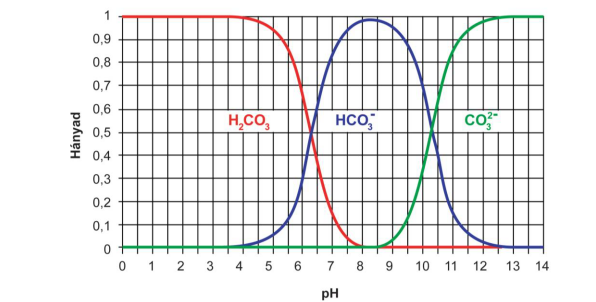 Disszociáció: H 2 C O 3 * H 3 O + + H C O 3 - H C O 3 - + H 2 O