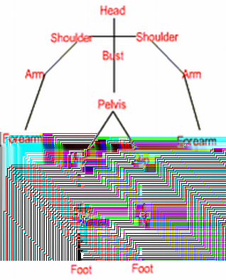 Példa: Emberi