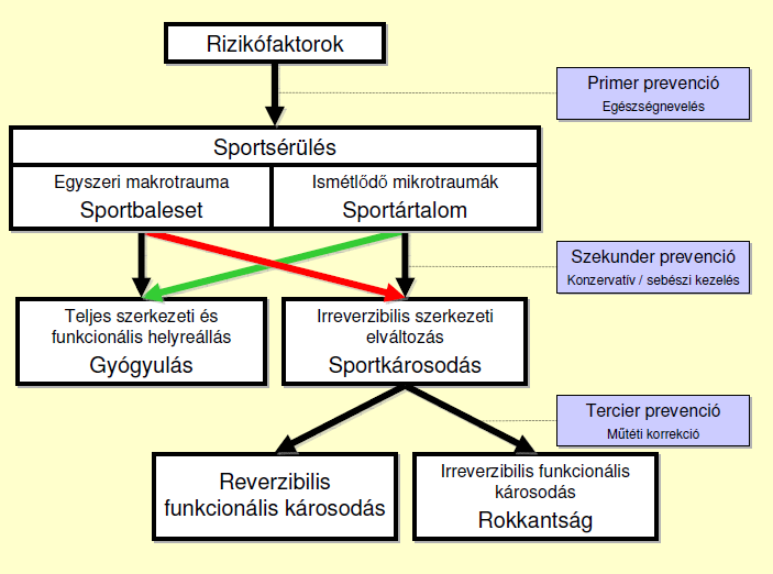 versenyeken, mérkőzéseken bekövetkező váratlan szituációk, kiszámíthatatlan helyzetek nem modellezhetők teljeskörűen, nehéz előre felkészülni rájuk.