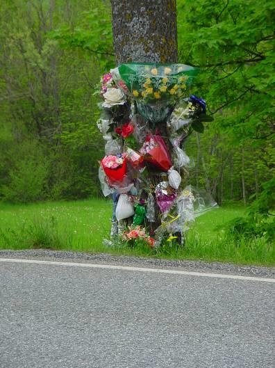 Tény A vezető halálok a 15