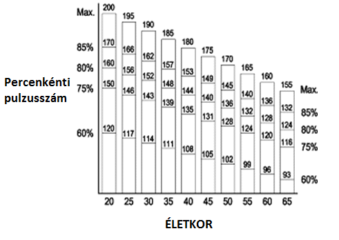 EDZÉSI SZÍVRITMUS (TARGET H.R) ÉS ÉLETKOR (AGE) BEÁLLÍTÁSA Ha a P9 programot választotta, állítsa be az edzési szívritmus értékét. a. Nyomja meg az ENTER gombot a beállított kalória (CALORIES) érték jóváhagyásához és lépjen az edzési szívritmus (TARGET H.