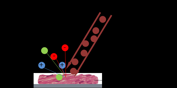 Irodalmi áttekintés Biológiai molekulák analízise tömegspektrometriával Segített Deszorpciós Ionizációs Technikák (LDI: Laser Desorption Ionization, MALDI: Matrix-Assisted Laser Desorption