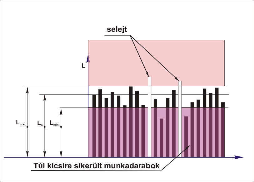 A selejtnek