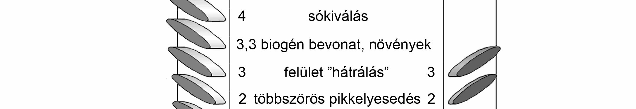 A történeti és a restaurált falazaton tapasztalható mállási jelenségeket összevetve arra következtettem, hogy a mállási kéreg képződéséhez az adott klimatikus viszonyok között évtizedek szükségesek.