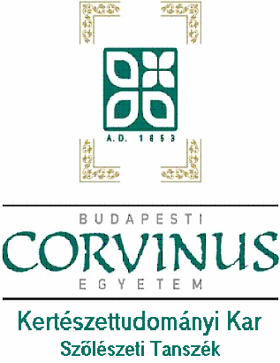 Budapesti Corvinus Egyetem RÉGI TOKAJ-HEGYALJAI FAJTÁK TERMESZTÉSI ÉRTÉKÉNEK ÉS