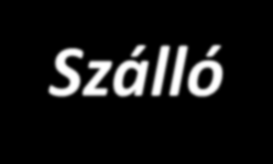 Szálló 2001.