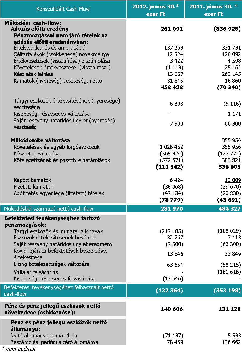 SYNERGON Csoport Cash-flow A társaság nettó pénzeszköz állománya 2012. június 30-án 78 millió forint volt.