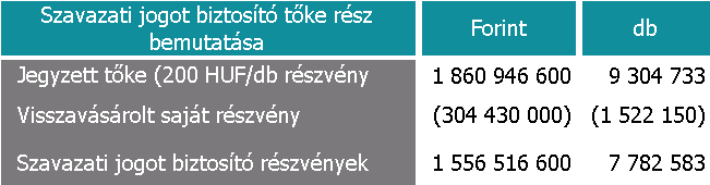 Részvényekre jutó hozam A SYNERGON Informatika Nyrt.